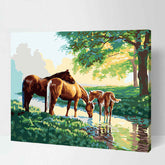 Painting by Numbers Pictures Horses by The Stream